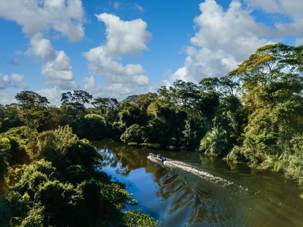 Te koop: 76,5 hectare eigendom Plantage Vossenburg in Commewijne in Boven-Commewijnerivier, kilometer 33 vanaf Paramaribo (via de SLOC-weg), Commewijne