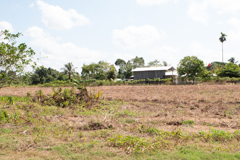 Saramacca perceel grond van 4 hectare grond te koop