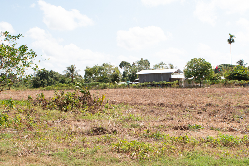 Saramacca perceel van 4 hectare te koop