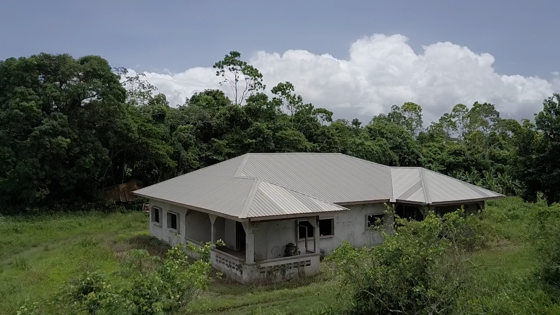 Percelen van 8.3 hectare grond eigendom op Saramacca te koop