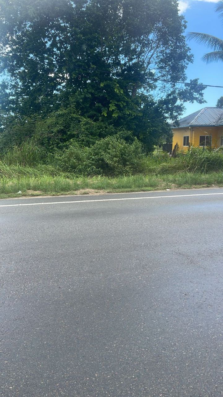 Perceel te koop op Commewijne Hadji Iding Soemitaweg