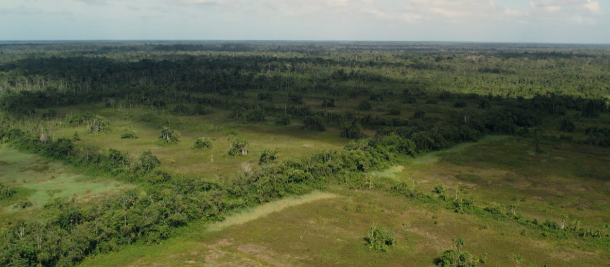 Te koop 2x 38 hectare grond op Plantage Vossenburg te Commewijne